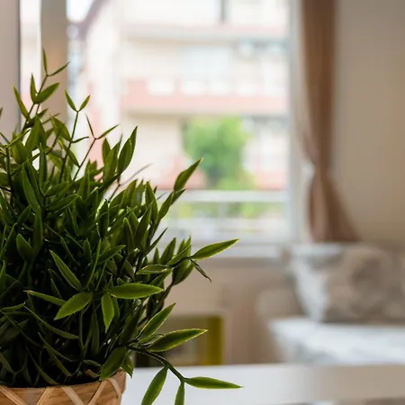 Cozy Gem In The Heart Of Apartment