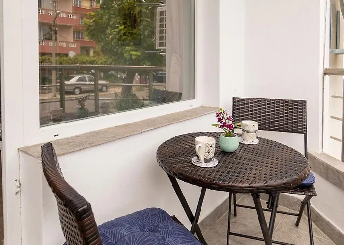 Apartment Cozy Gem In The Heart Of