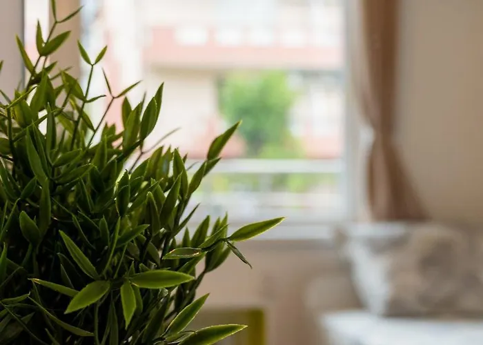 Cozy Gem In The Heart Of Apartment